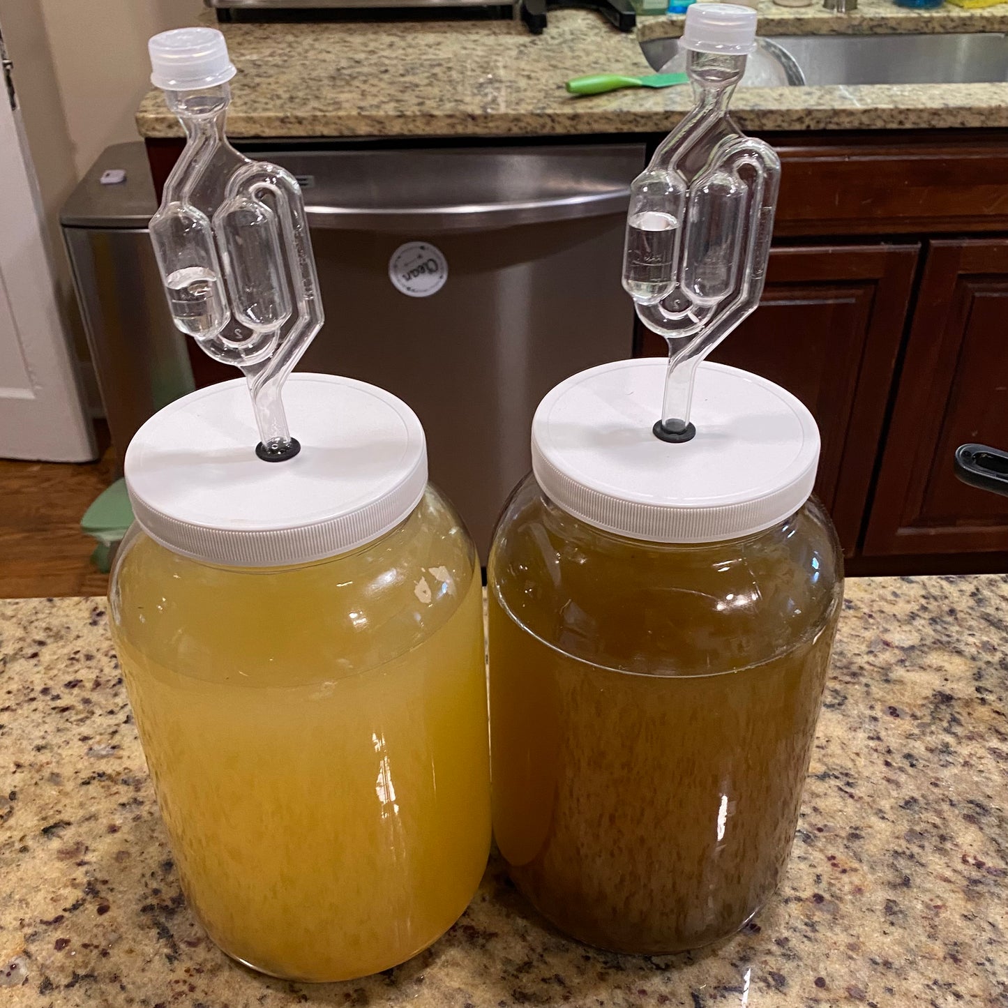 Yodit's Mes (honey wine) Recipe