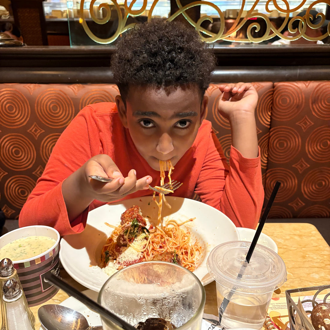 A New Adventure in Homeschooling