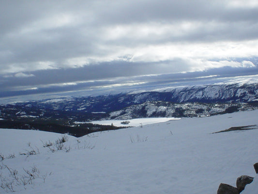 February: A Blur of Illness and Recovery