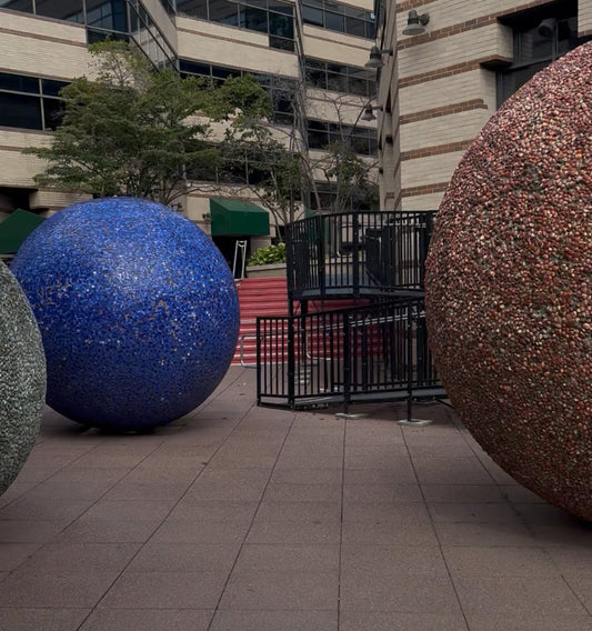 My Journey to Becoming a DC Master Gardener: Botany Kickoff