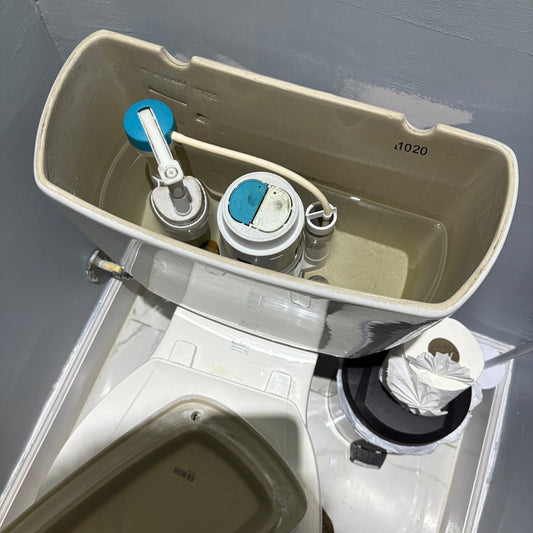 Embracing New Rhythms! New free digital downloads coming soon!